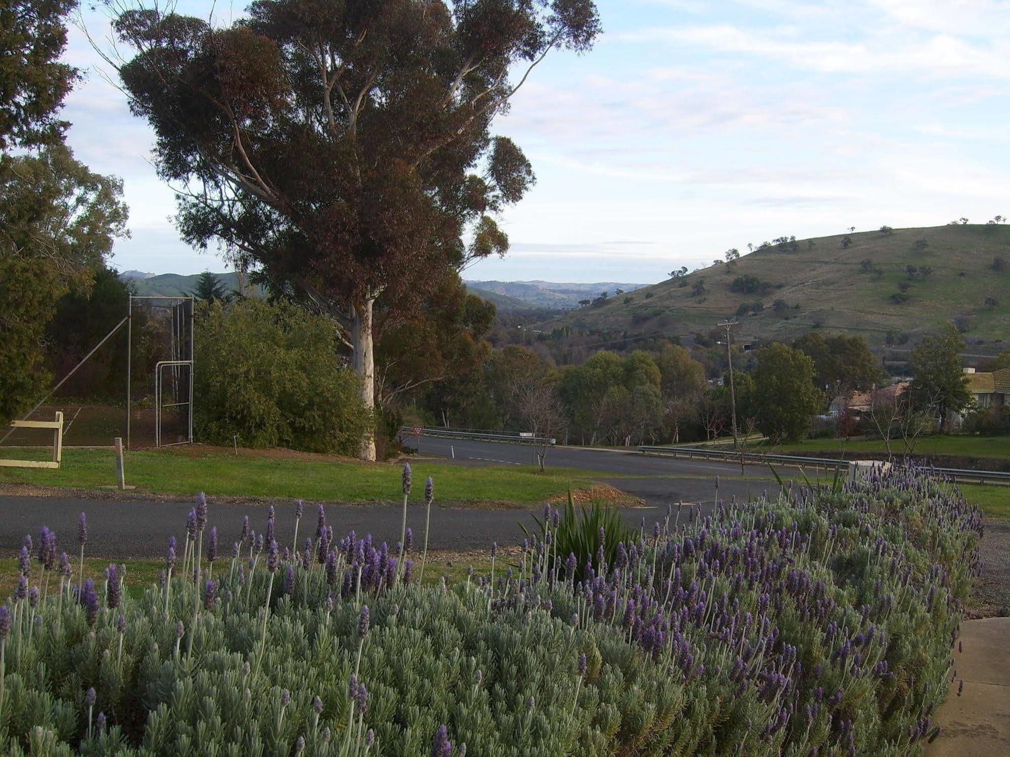 Garden Motor Inn Gundagai Extérieur photo