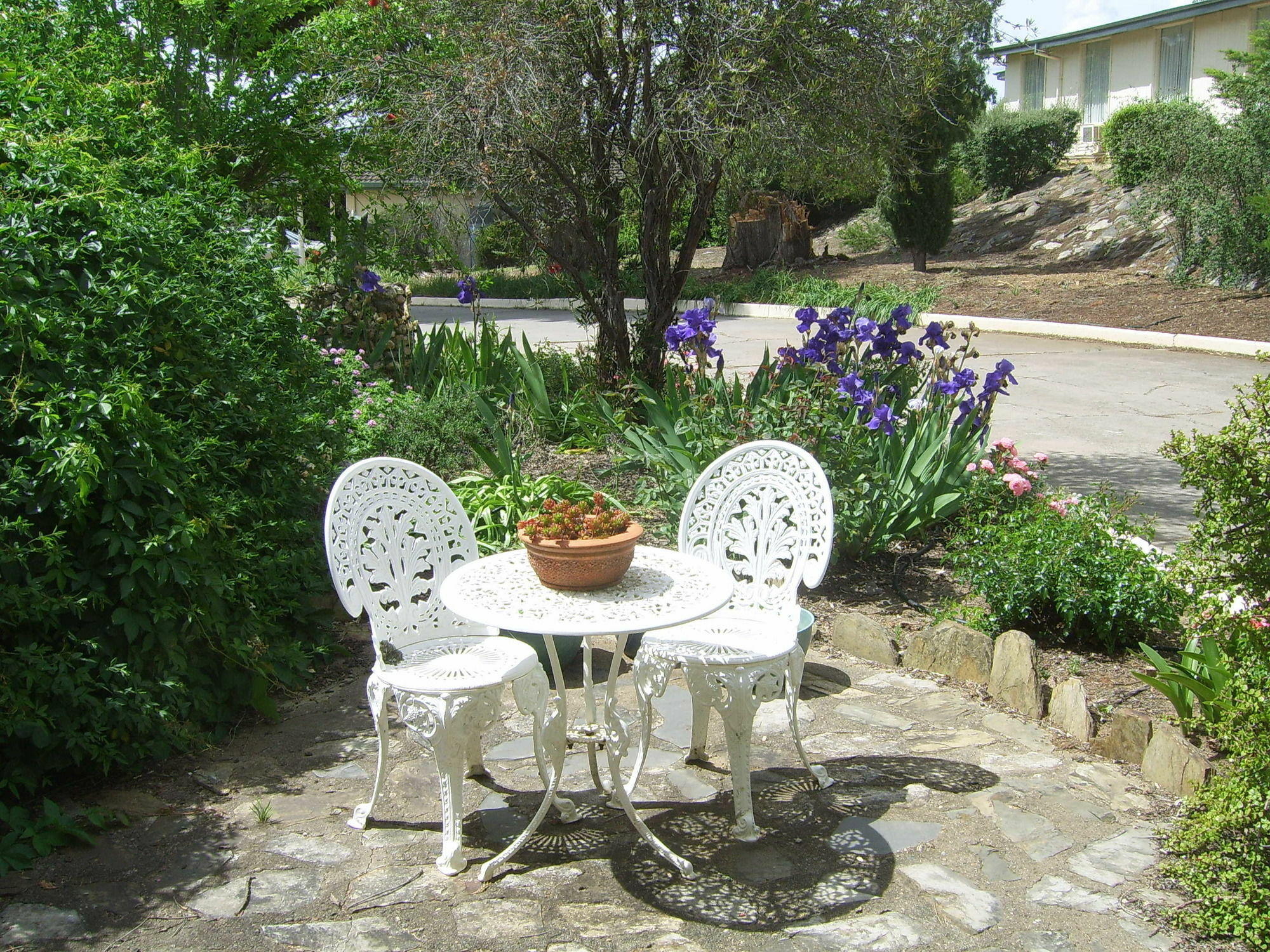 Garden Motor Inn Gundagai Extérieur photo
